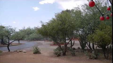 Watch: It's raining in Tucson!